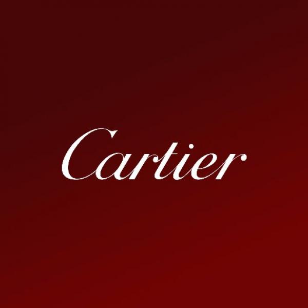 Sofia Coppola, nouvelle amie de Cartier, rend hommage à la montre Panthère